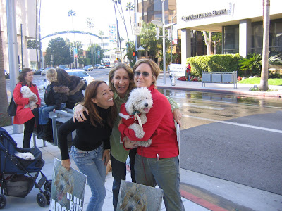 LA News – Posh Puppy Store in Beverly Hills Shutdown