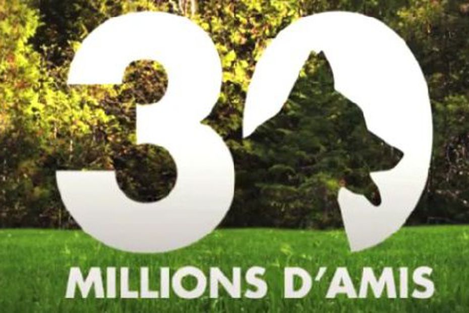 Emission "30 millions d'amis" France 3 Côte-d'Azur