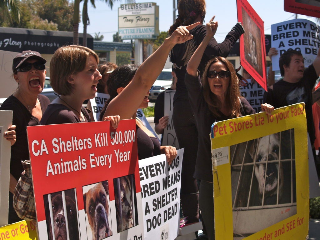 I Heart Puppies Protest in Corona del Mar