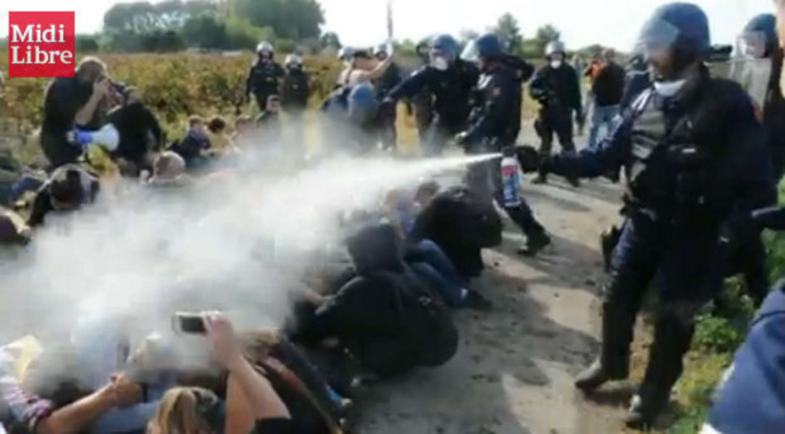 The Dodo – Animal rights France: Shocking video of police brutality on non-violent activists