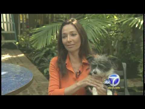 ABC News – West Hollywood Eyes Puppy Mill Sales Ban